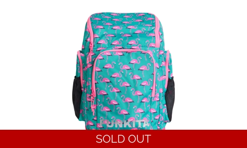 Funkita Space Case, Go Flamingo!